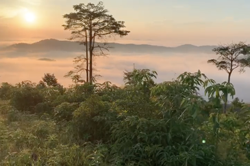 Freehold Agriculture Land @ Karak, Bentong (Water, Electricity, Tar Road with drainage DONE)