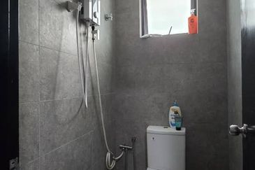 Whitten Eco Majestic