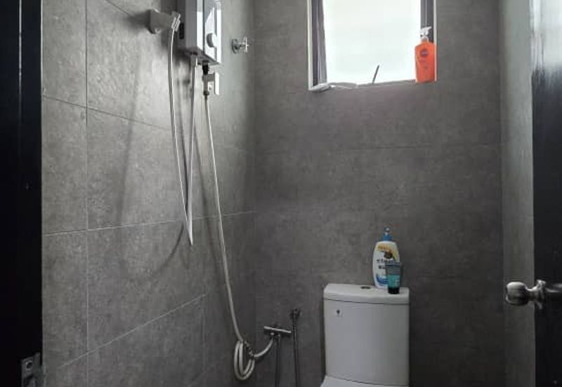 Whitten Eco Majestic