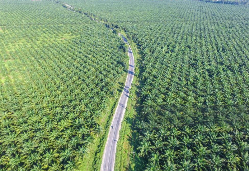 Gurun Kedah Zoning Industry Land For Sale