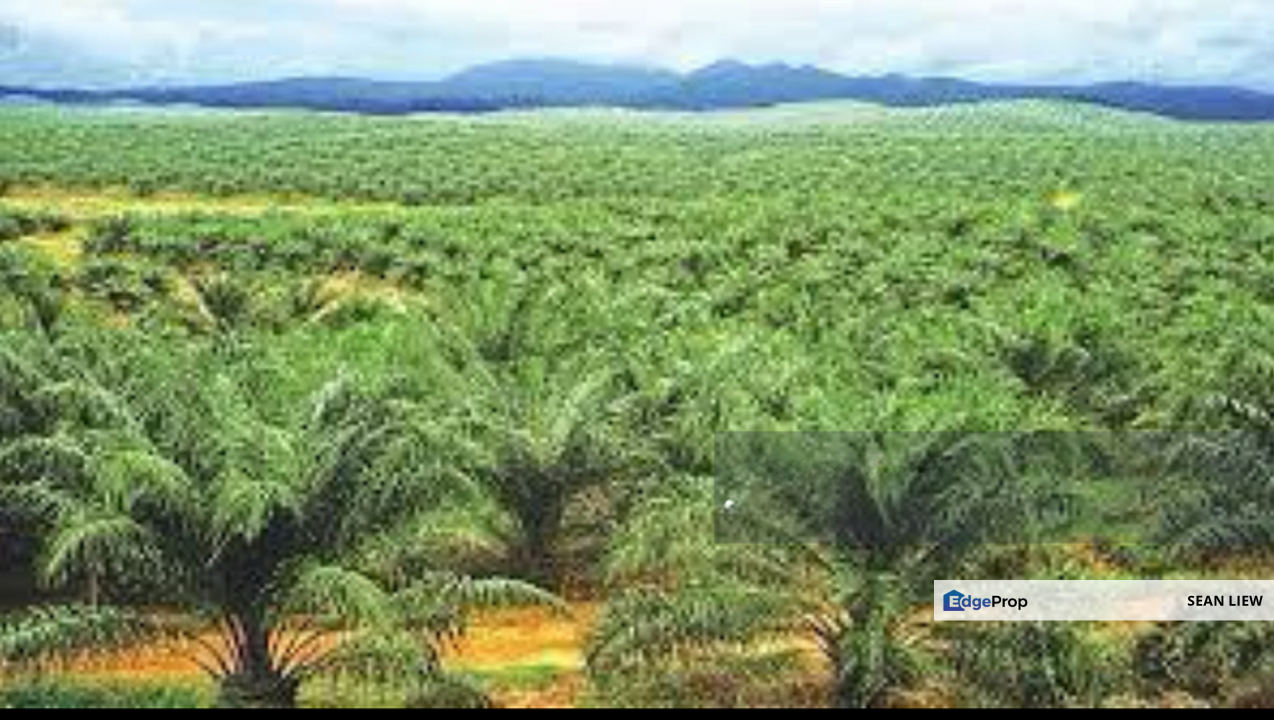 Gurun Kedah Zoning Industry Land For Sale, Kedah, Gurun