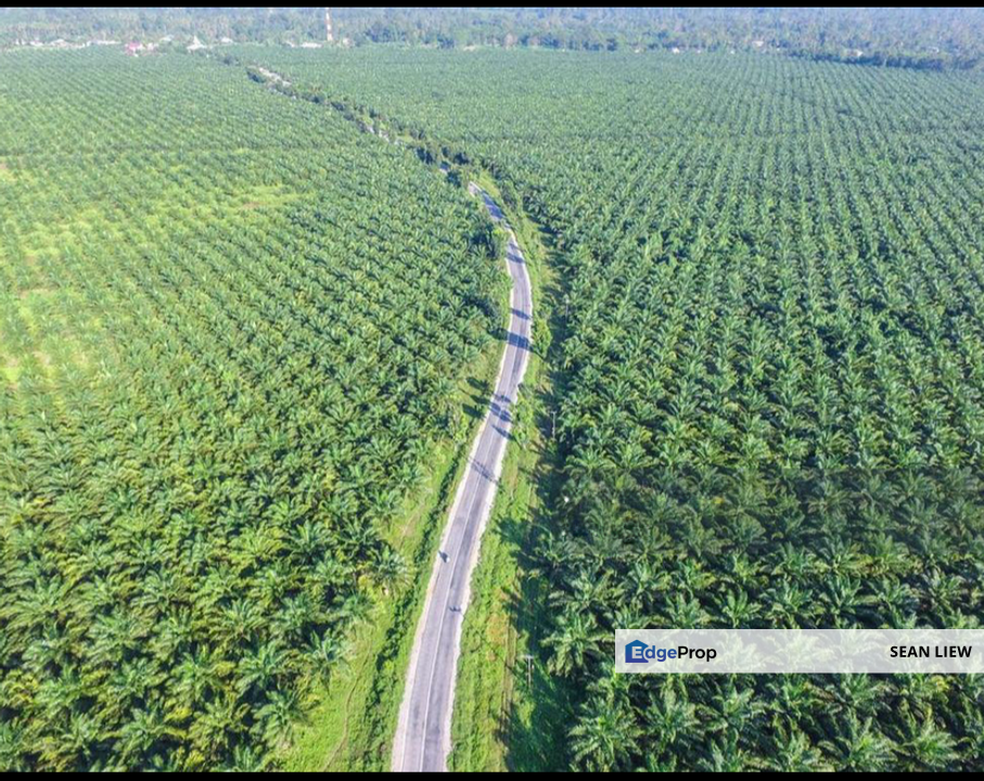 Gurun Kedah Zoning Industry Land For Sale, Kedah, Gurun