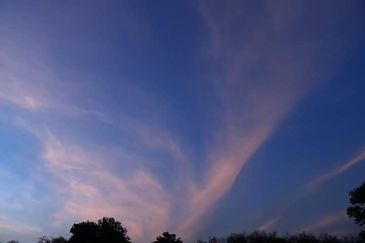 College Heights Garden Resort