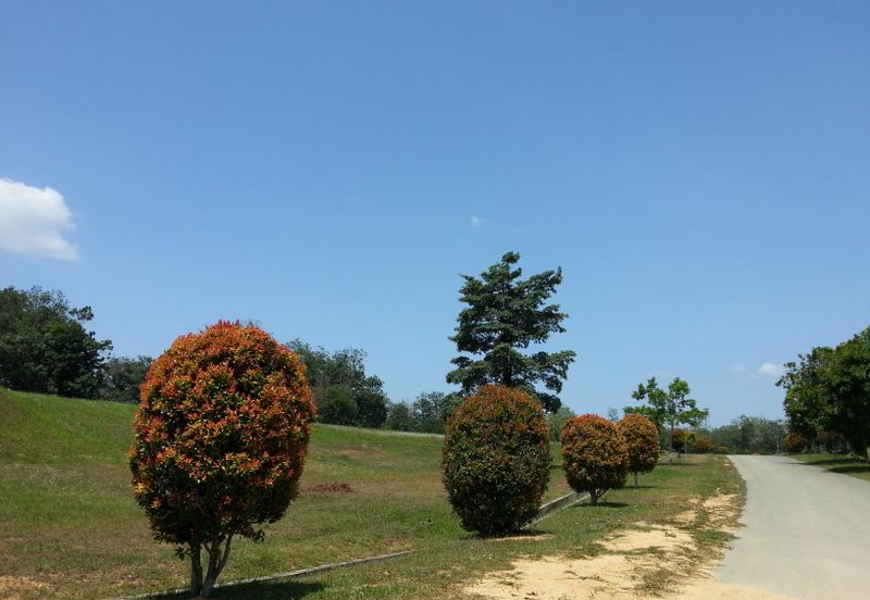 College Heights Garden Resort