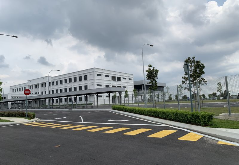 Whitten Eco Majestic