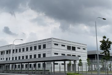 Whitten Eco Majestic