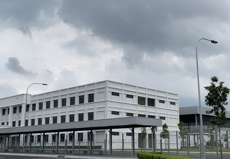 Whitten Eco Majestic