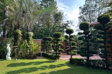 COLLEGE HEIGHTS GARDEN RESORT (PAJAM)