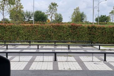 Whitten Eco Majestic