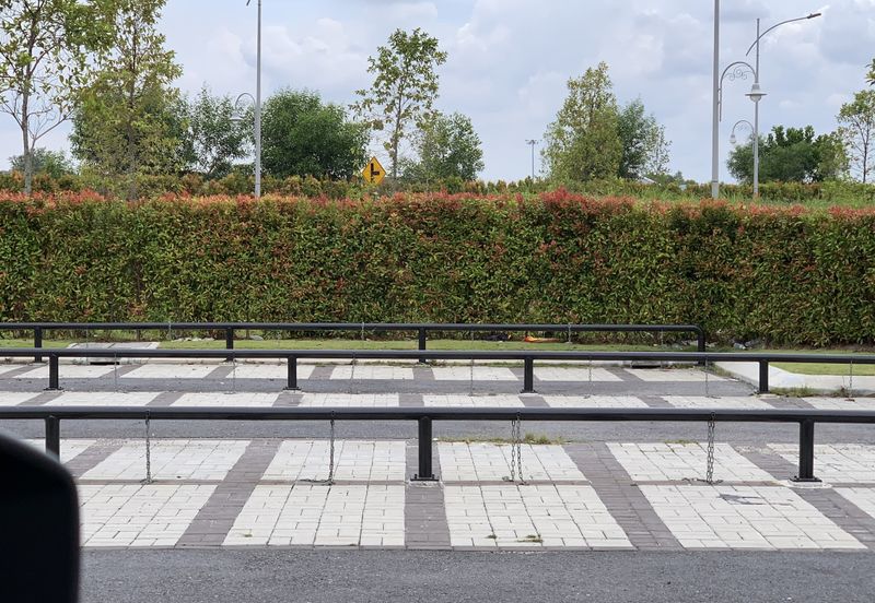 Whitten Eco Majestic