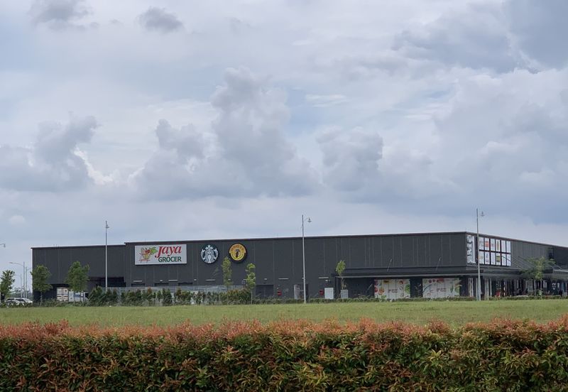 Whitten Eco Majestic