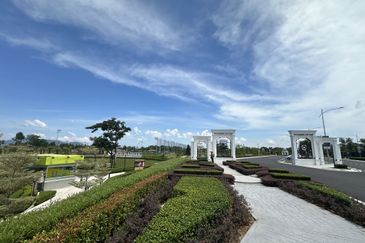 Whitten Eco Majestic