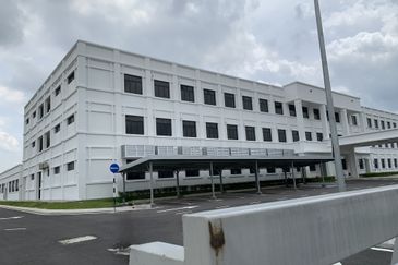 Whitten Eco Majestic