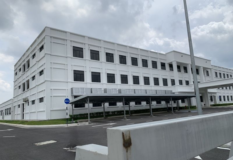 Whitten Eco Majestic