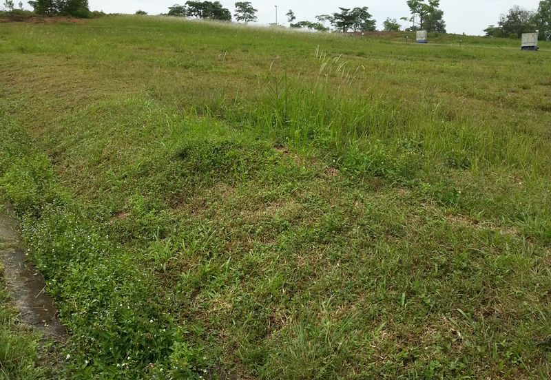 COLLEGE HEIGHTS GARDEN RESORT (PAJAM)