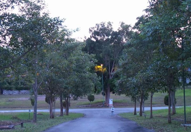 COLLEGE HEIGHTS GARDEN RESORT (PAJAM)