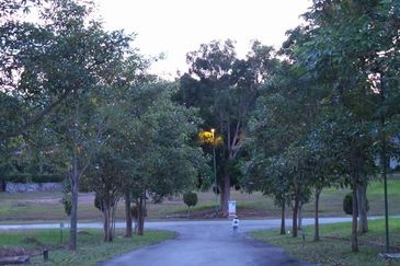 COLLEGE HEIGHTS GARDEN RESORT (PAJAM)