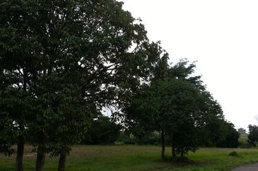 College Heights Garden Resort