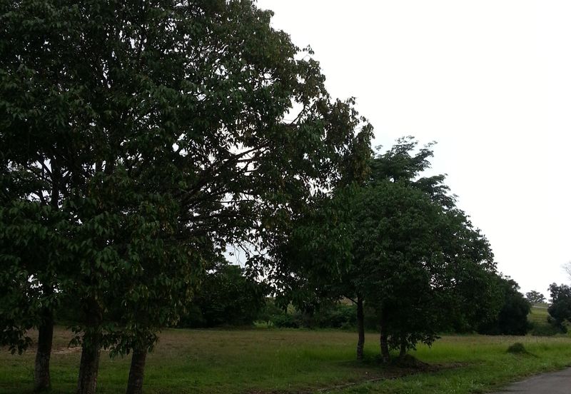 College Heights Garden Resort