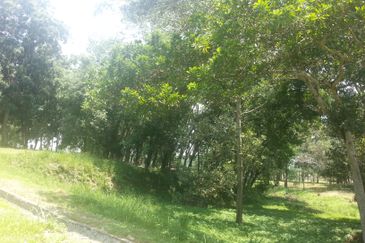 Perdana College Heights