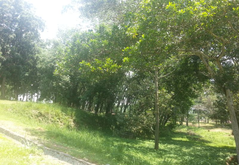 Perdana College Heights