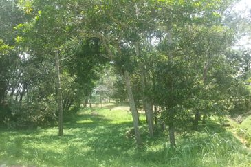 Perdana College Heights