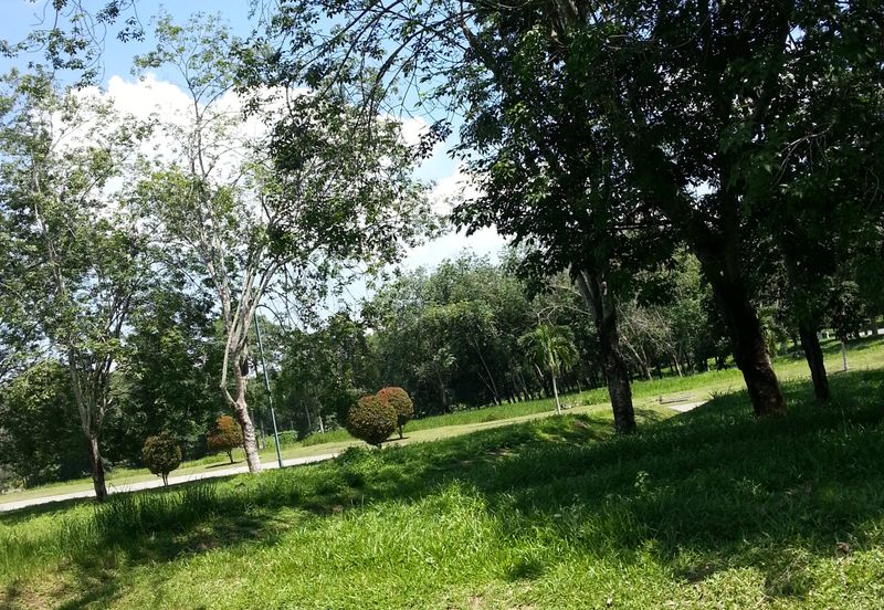 Perdana College Heights