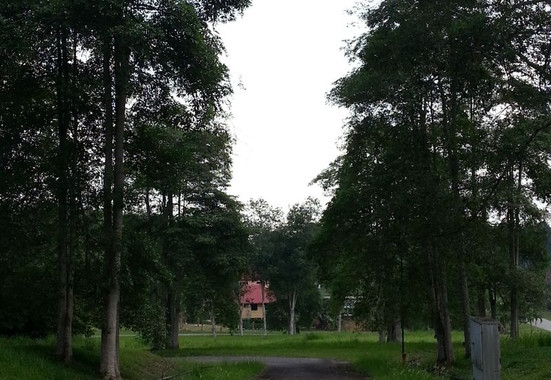 COLLEGE HEIGHTS GARDEN RESORT (PAJAM)