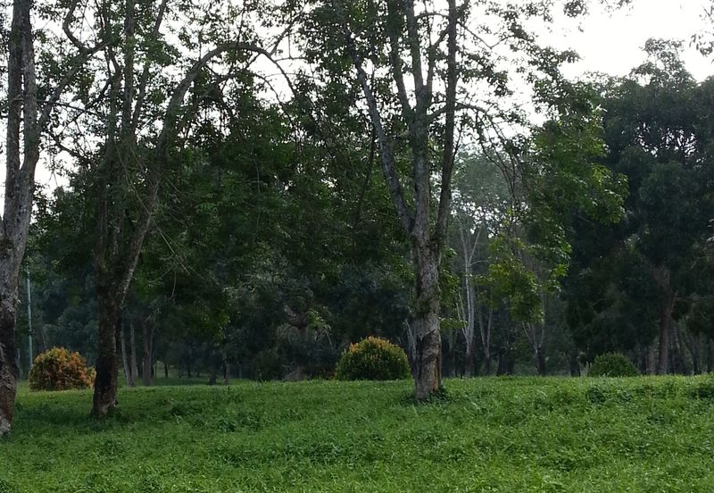 COLLEGE HEIGHTS GARDEN RESORT (PAJAM)