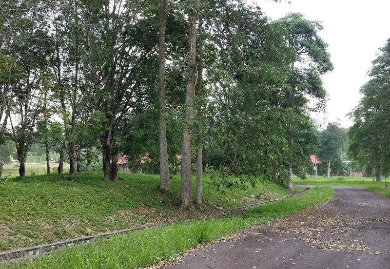 COLLEGE HEIGHTS GARDEN RESORT (PAJAM)