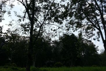 COLLEGE HEIGHTS GARDEN RESORT (PAJAM)