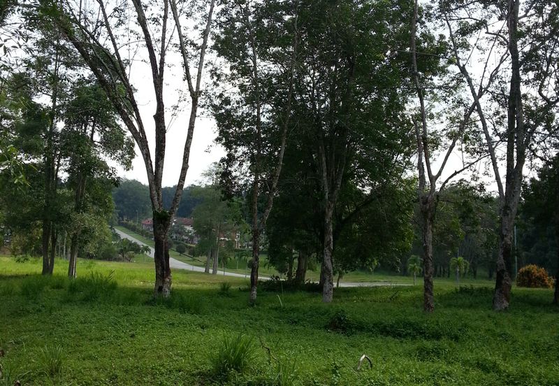 COLLEGE HEIGHTS GARDEN RESORT (PAJAM)