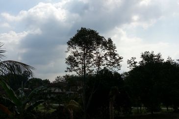 COLLEGE HEIGHTS GARDEN RESORT (PAJAM)