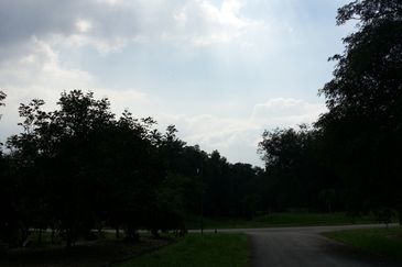 COLLEGE HEIGHTS GARDEN RESORT (PAJAM)