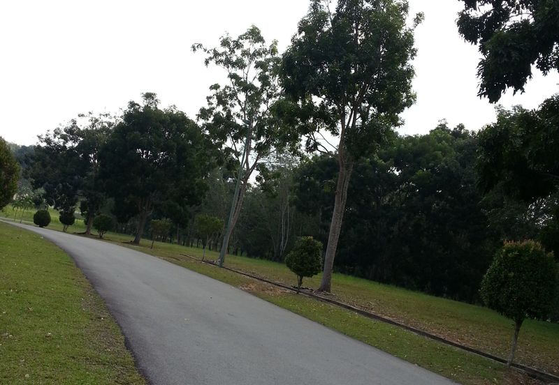 COLLEGE HEIGHTS GARDEN RESORT (PAJAM)