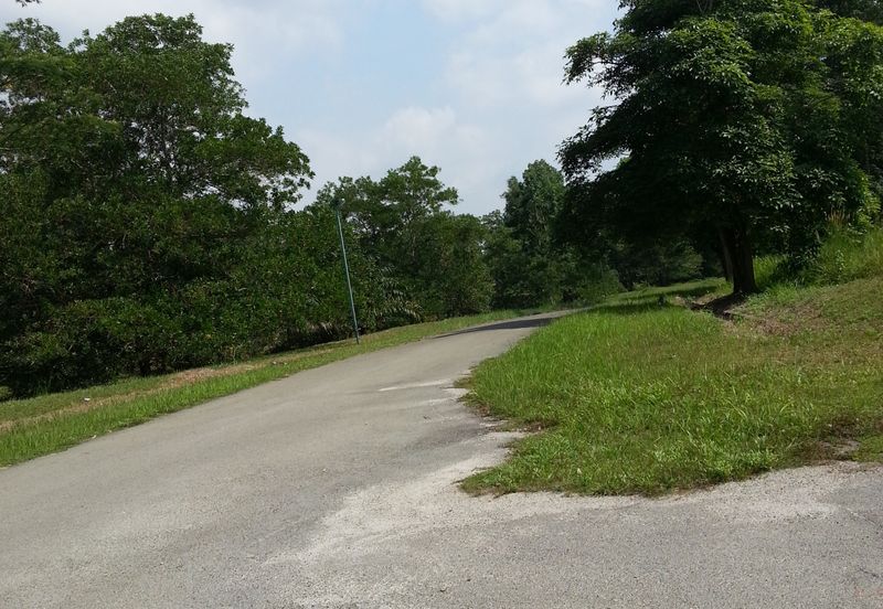 COLLEGE HEIGHTS GARDEN RESORT (PAJAM)