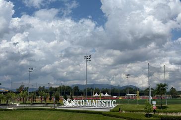 Whitten Eco Majestic