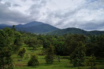 Kerling Industrial Land