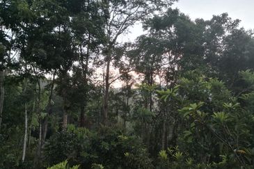 Kerling Industrial Land