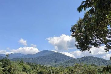 Kerling Industrial Land