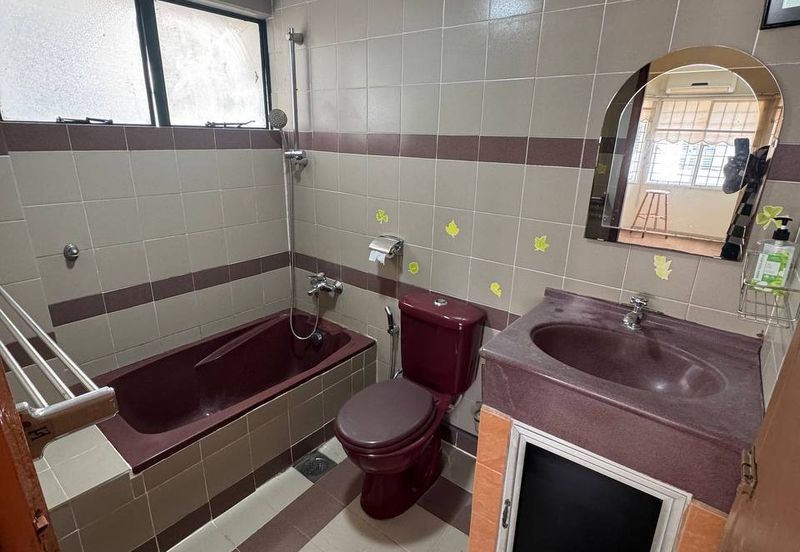 City Garden Orchid Court