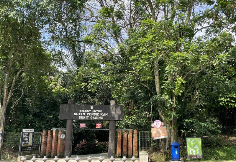 Bukit Gasing, Seksyen 5