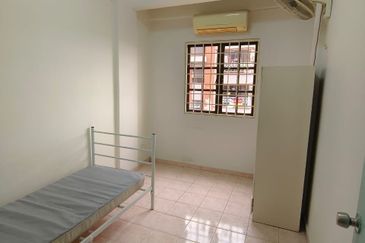 Evergreen Park Cypress