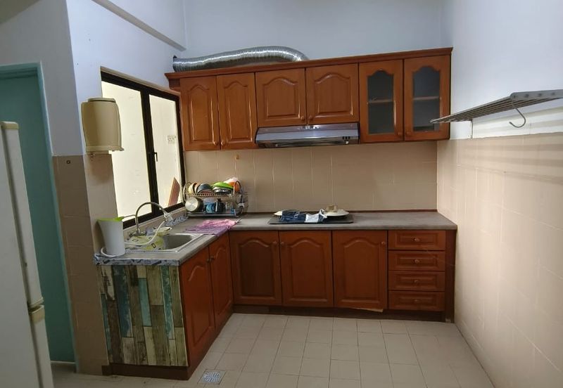 Evergreen Park Cypress