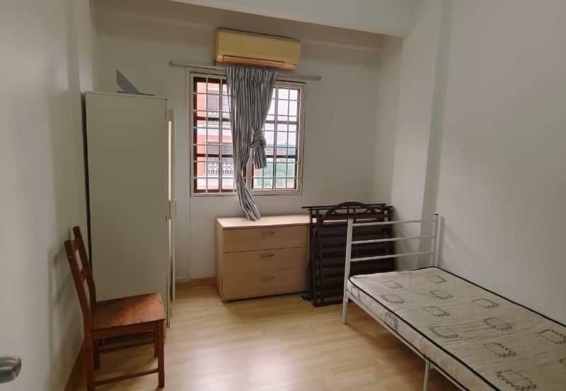 Evergreen Park Cypress