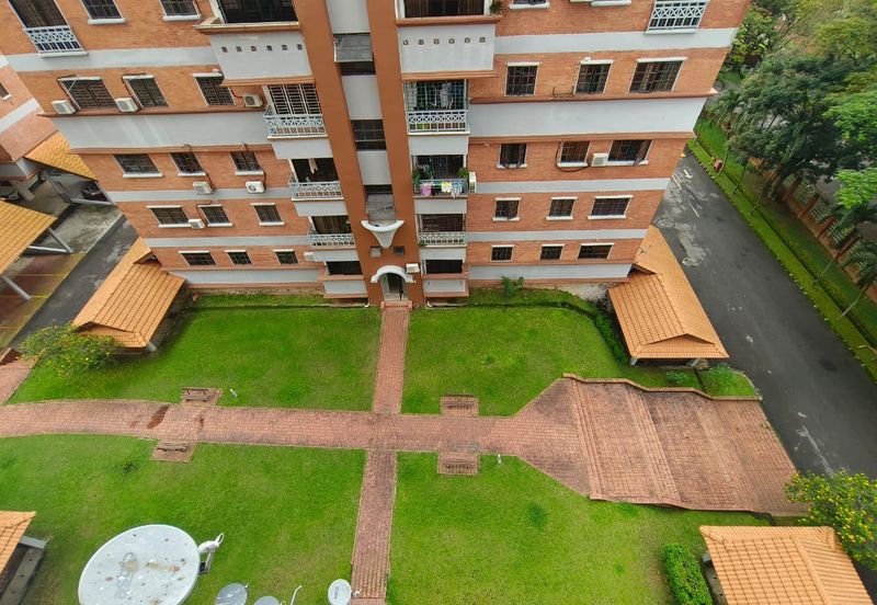 Evergreen Park Scot Pine