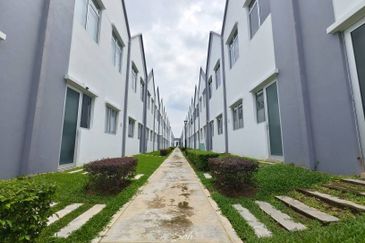 Hazelton @ Eco Forest 3