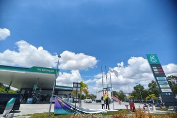 Merrydale @ Eco Majestic