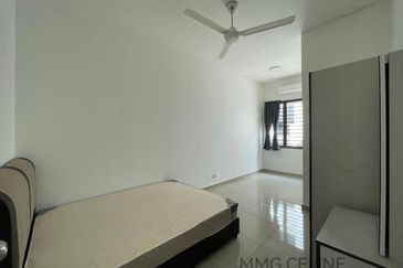 Zeyheri, Setia Utama 2