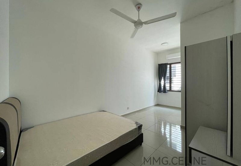 Zeyheri, Setia Utama 2